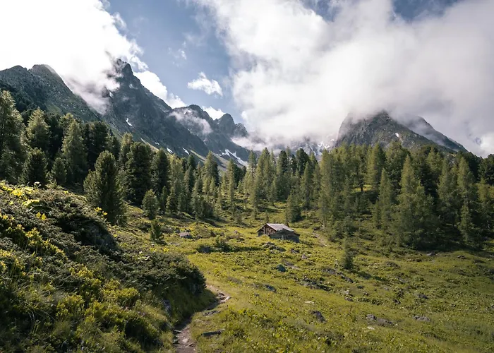 Simon-1 By Interhome